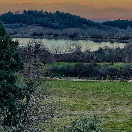 House In The Woods Διαμέρισμα Καρδίτσα Εξωτερικό φωτογραφία
