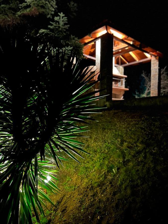 House In The Woods Διαμέρισμα Καρδίτσα Εξωτερικό φωτογραφία