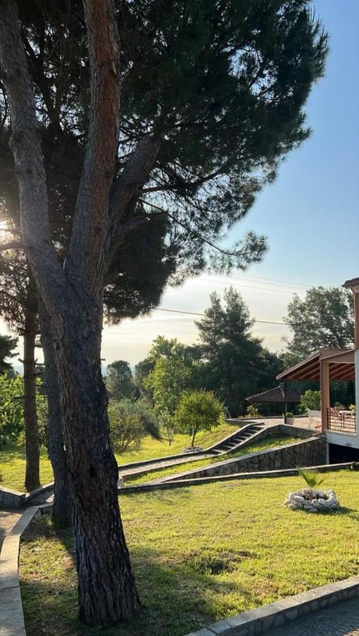 House In The Woods Διαμέρισμα Καρδίτσα Εξωτερικό φωτογραφία